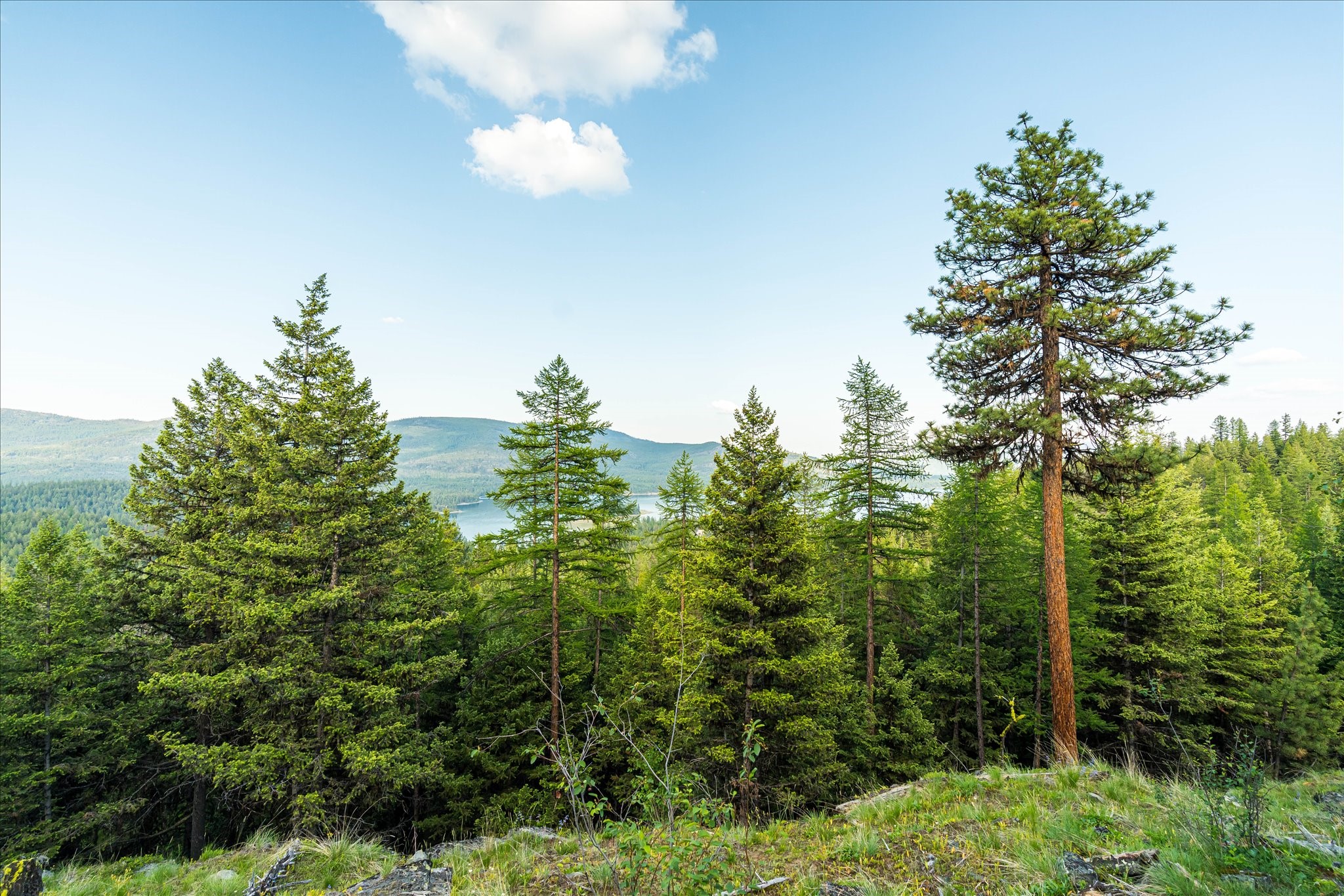 Marion, Montana 59925, United States, ,Land,Active,59520