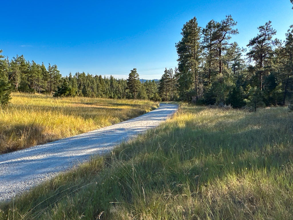 Photo of TBD Vesta Drive, Helena, MT 59602 (MLS # 30077976)