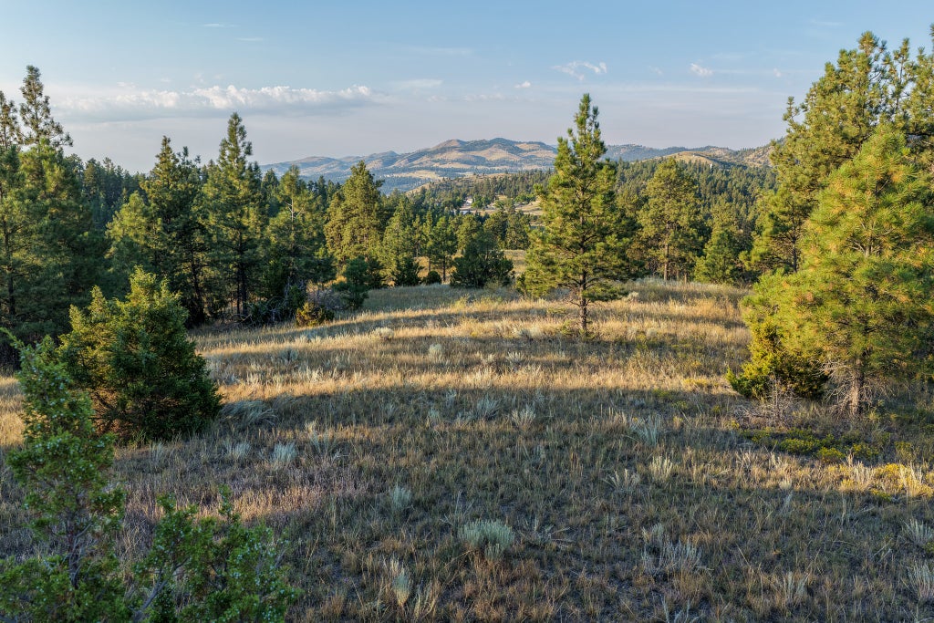 Photo of TBD Vesta Drive, Helena, MT 59602 (MLS # 30077976)