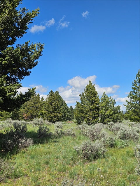 Tiny photo for 1720 High Chapparal Drive, Lincoln, MT 59639 (MLS # 30072705)