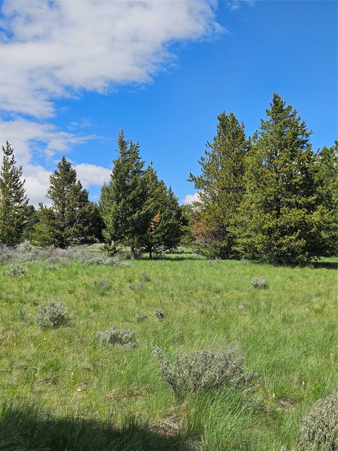 Tiny photo for 1720 High Chapparal Drive, Lincoln, MT 59639 (MLS # 30072705)