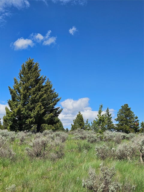 Tiny photo for 1720 High Chapparal Drive, Lincoln, MT 59639 (MLS # 30072705)