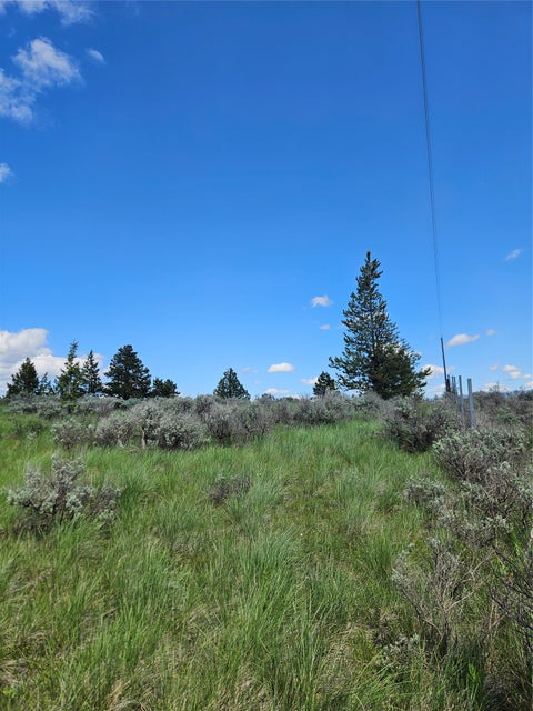Tiny photo for 1720 High Chapparal Drive, Lincoln, MT 59639 (MLS # 30072705)