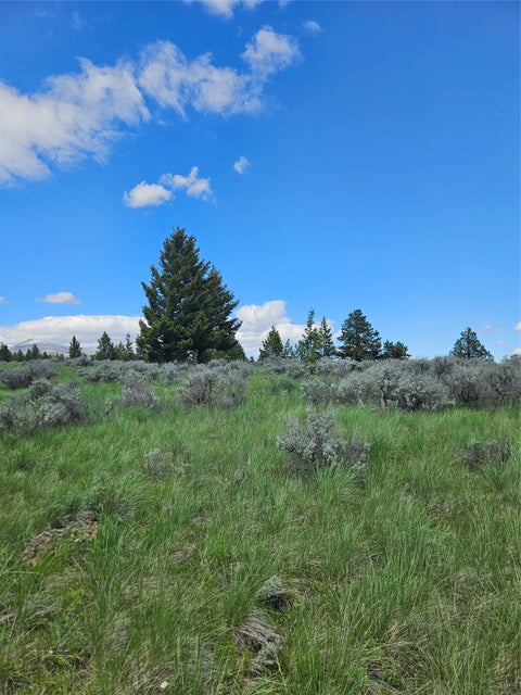 Tiny photo for 1720 High Chapparal Drive, Lincoln, MT 59639 (MLS # 30072705)