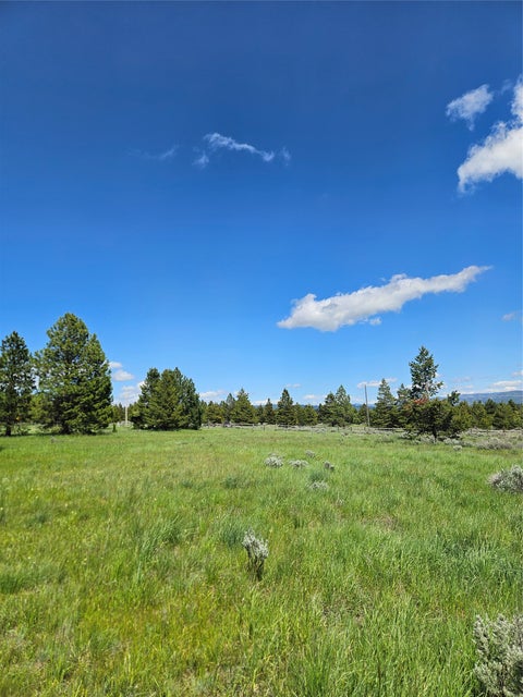 Tiny photo for 1720 High Chapparal Drive, Lincoln, MT 59639 (MLS # 30072705)