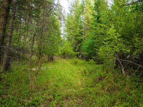 NHN Black Lake Road Rexford MT 59930