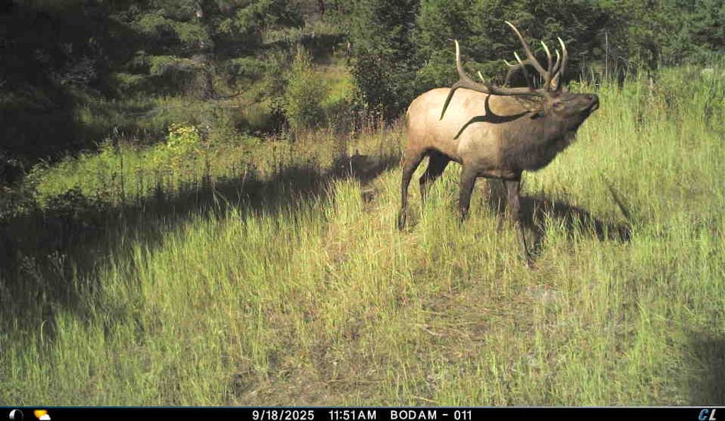 Photo of Lot 1 Ruby Mine Road, Butte, MT 59701 (MLS # 30060926)