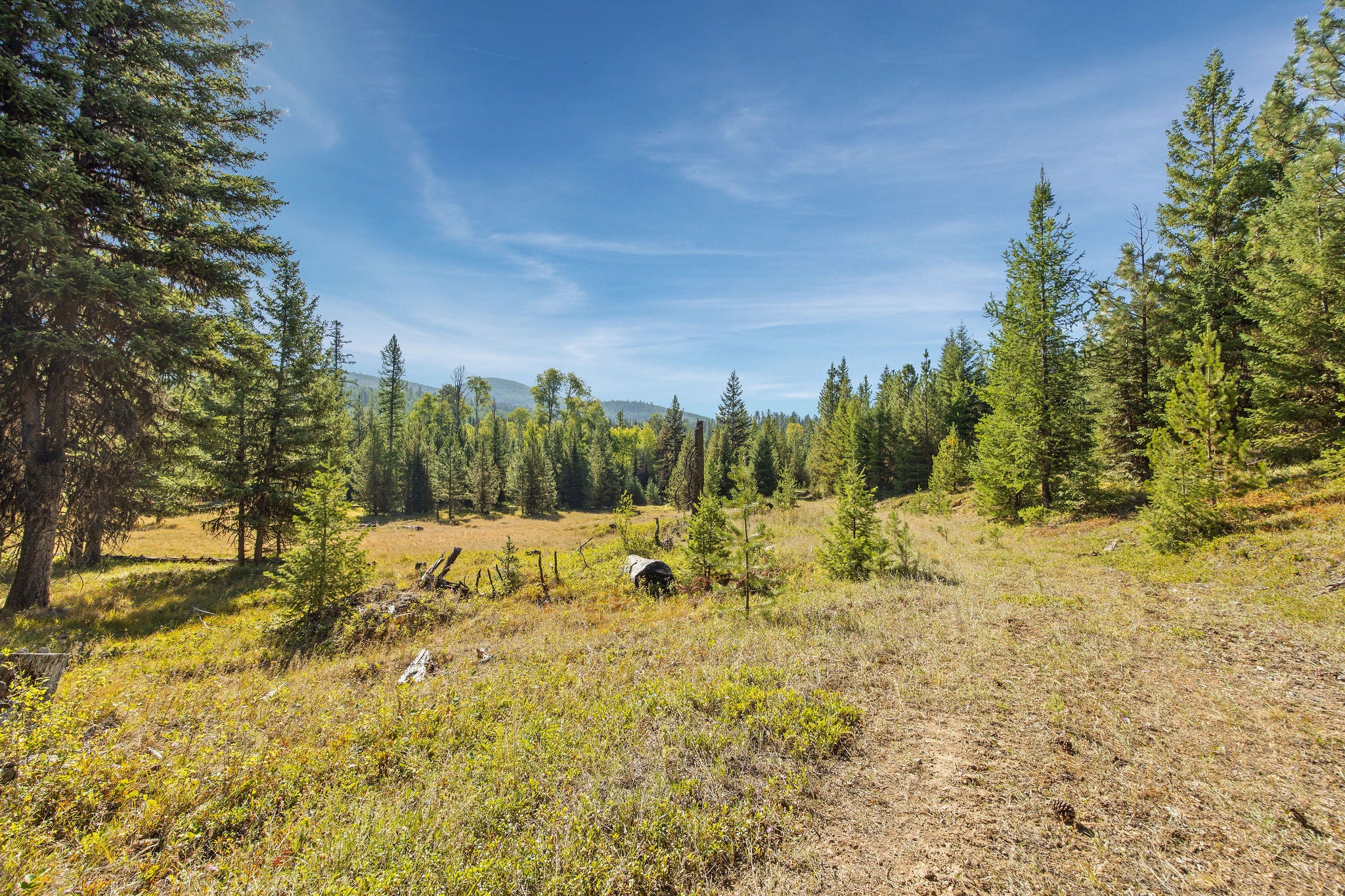 Nhn Whitney Lake Road
