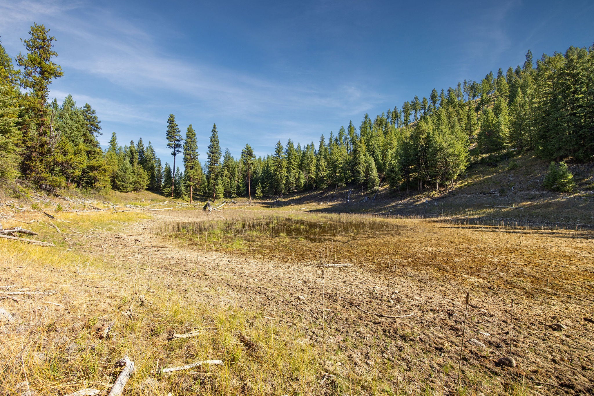 Nhn Whitney Lake Road