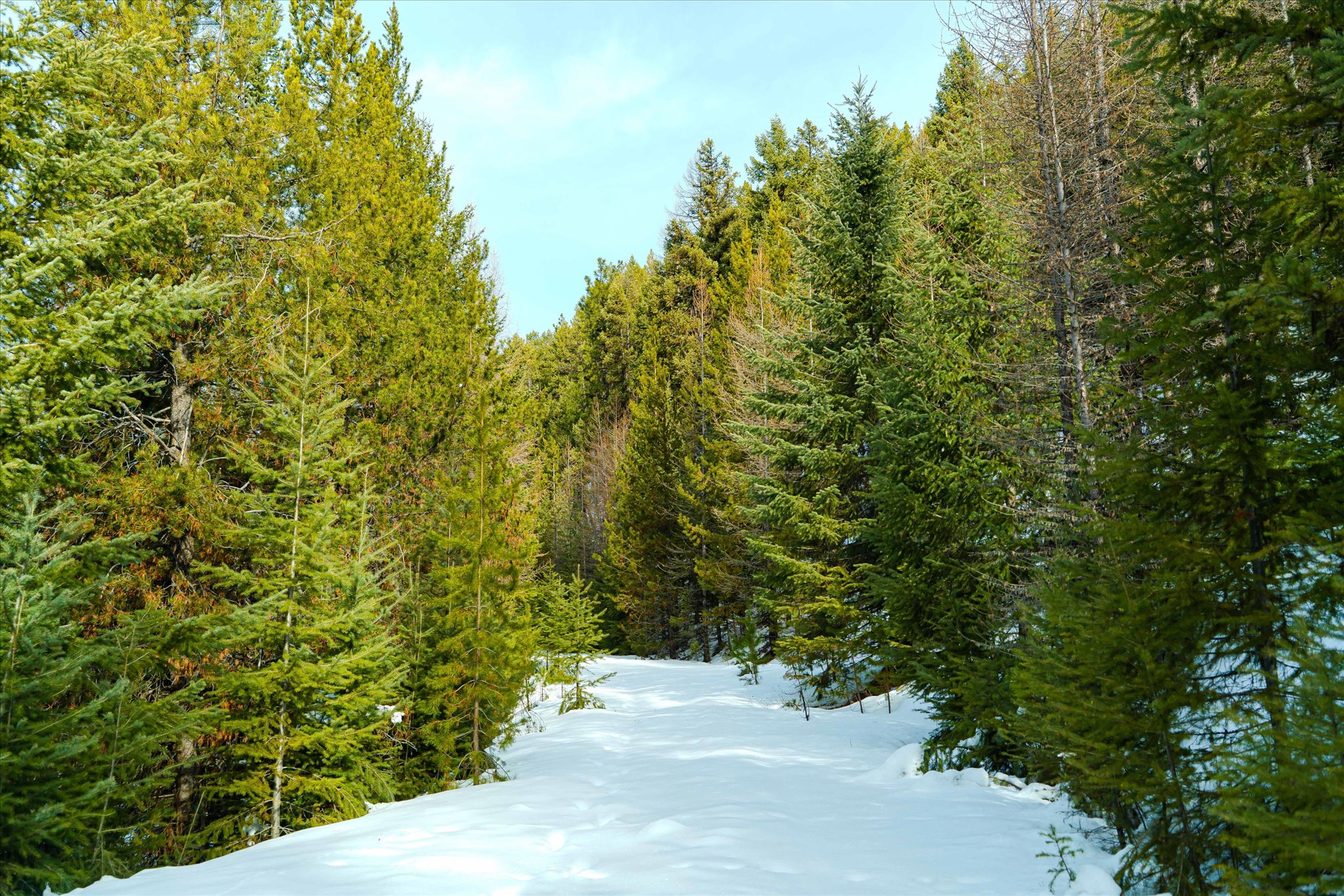 Nhn Whitney Lake Road Section 15