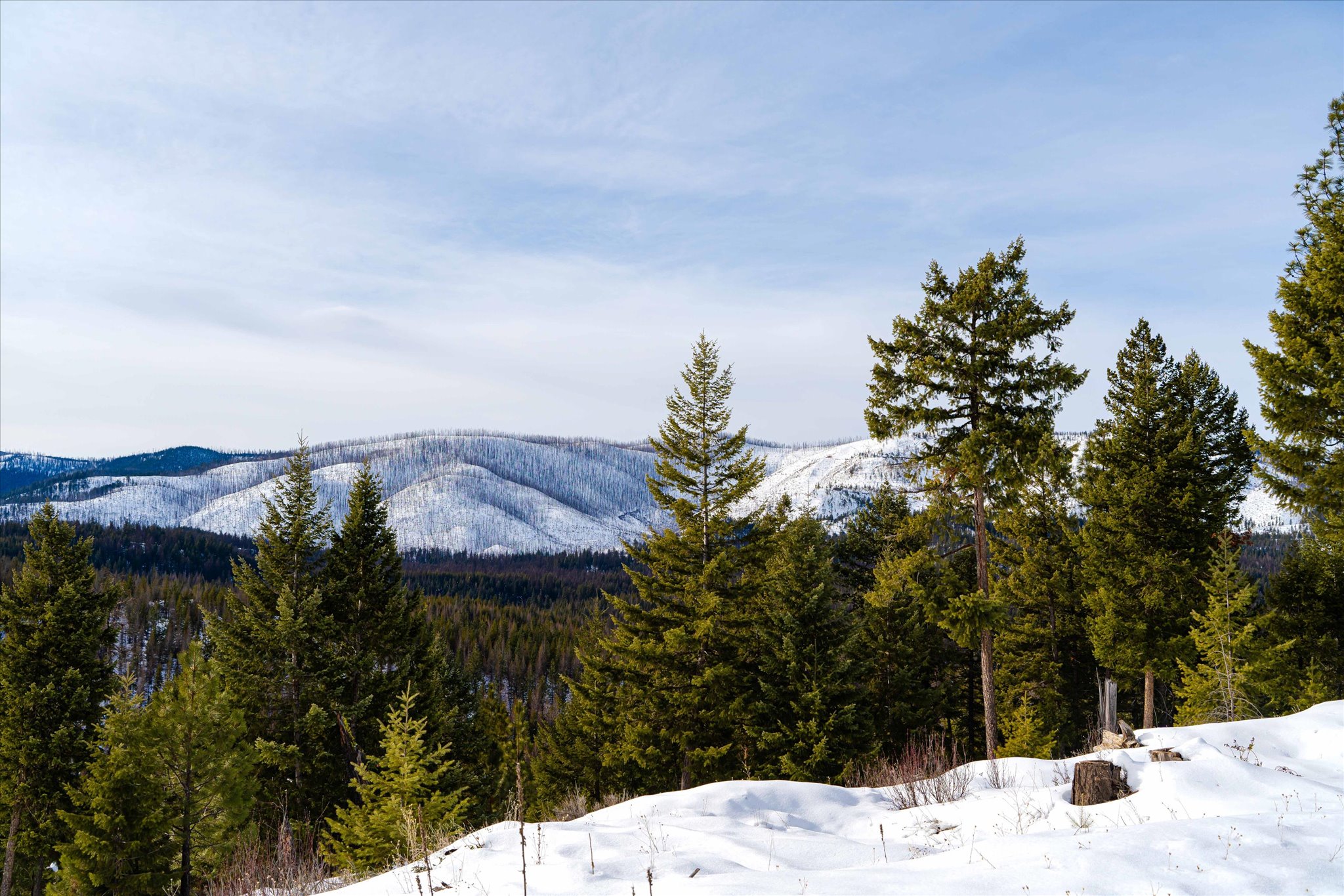 Nhn Whitney Lake Road Section 15