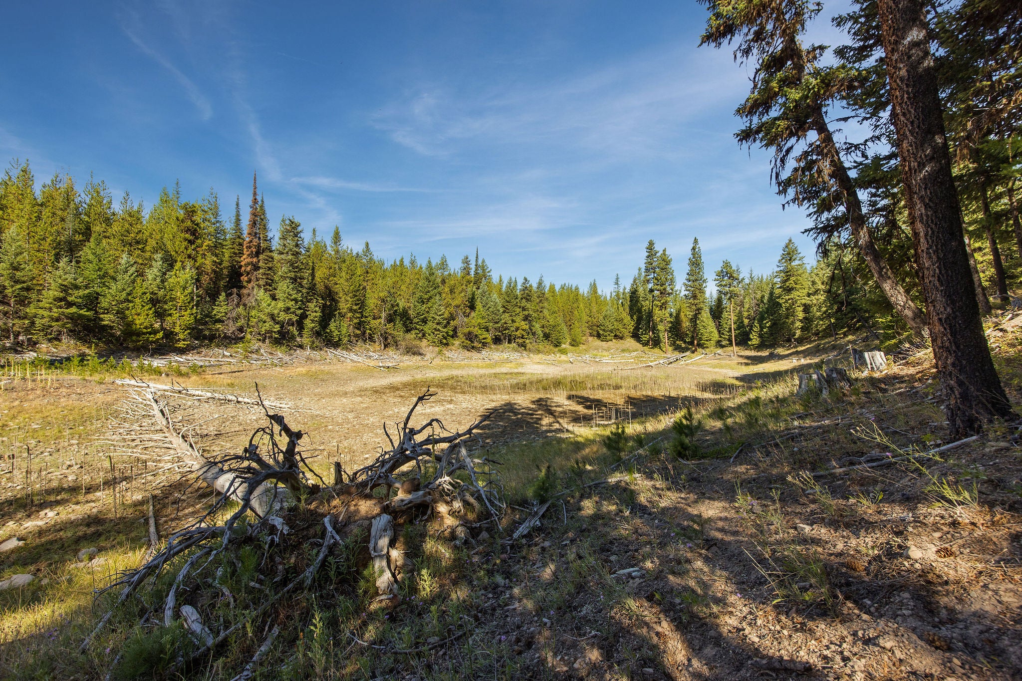 Nhn Whitney Lake Road