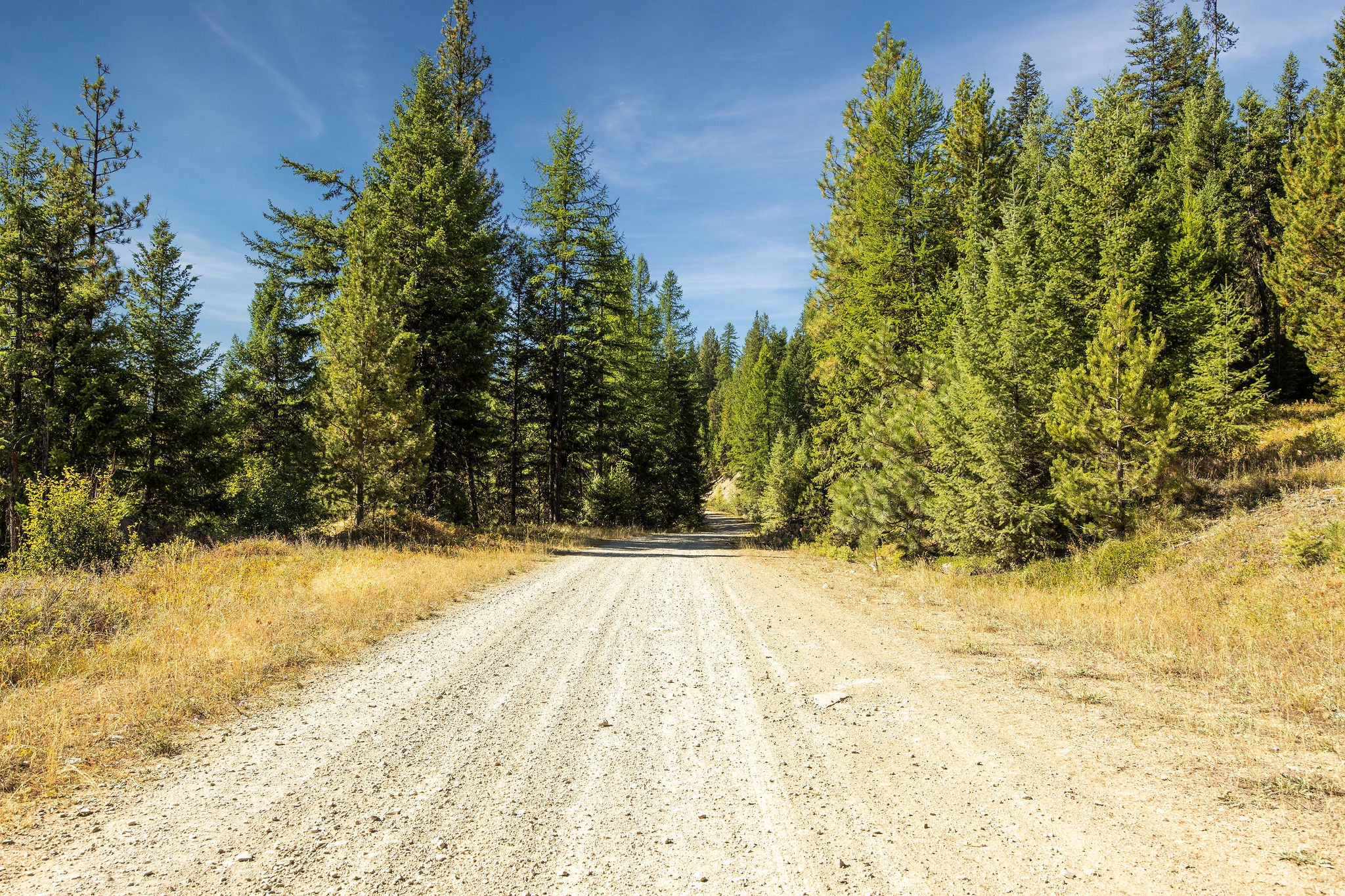 Nhn Whitney Lake Road