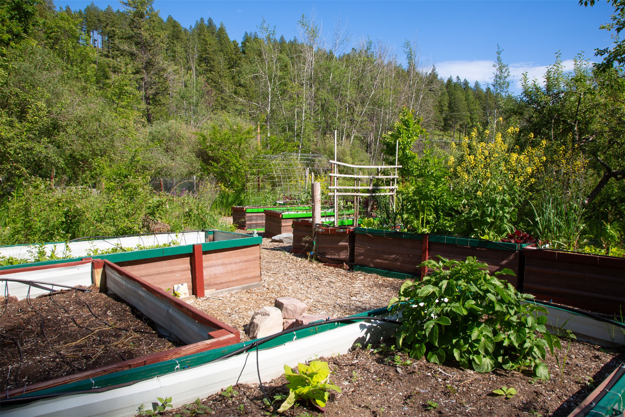 Bigfork, Montana 59911, United States, 3 Bedrooms Bedrooms, ,2 BathroomsBathrooms,Residential,Active,147207