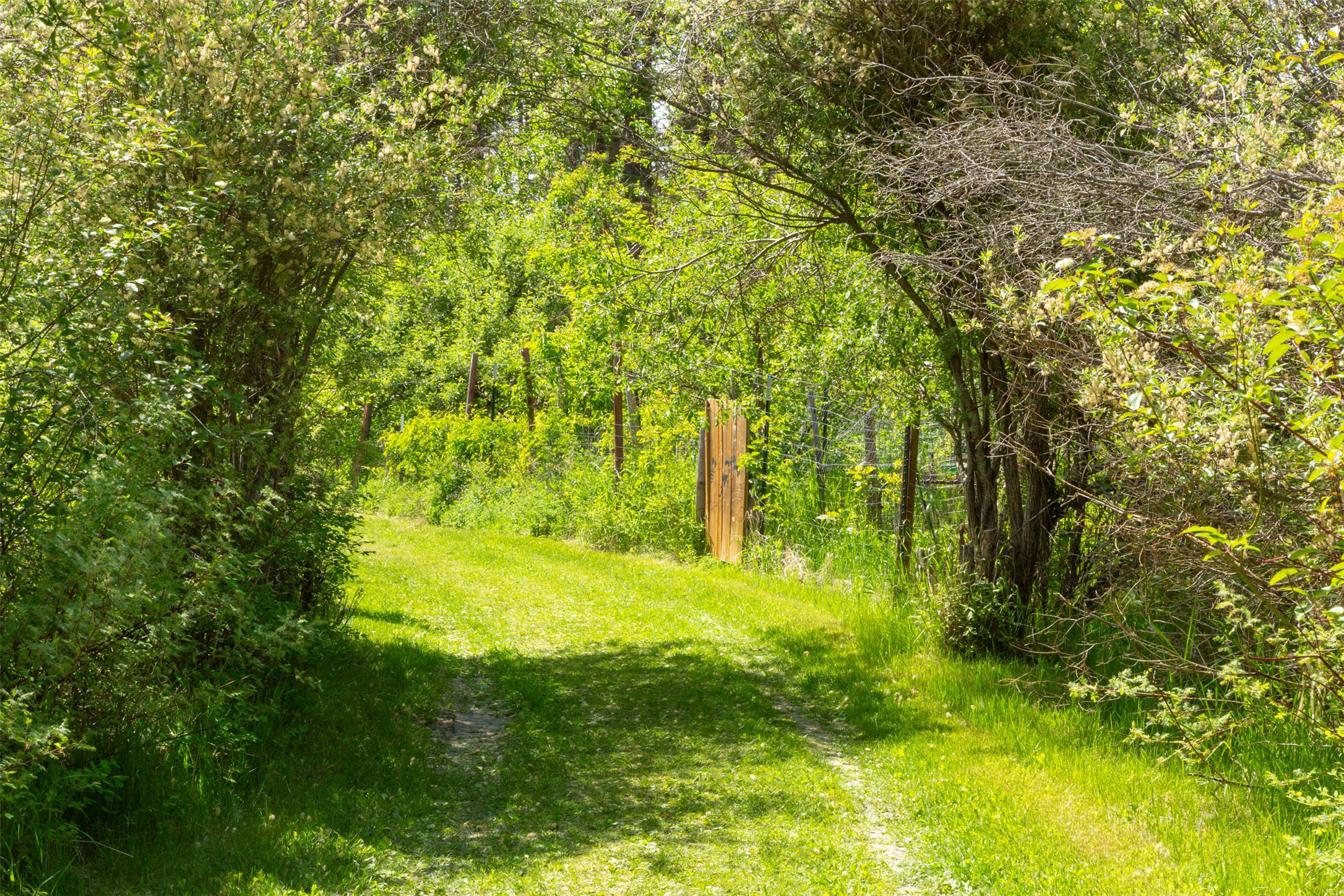 Bigfork, Montana 59911, United States, 3 Bedrooms Bedrooms, ,2 BathroomsBathrooms,Residential,Active,147207