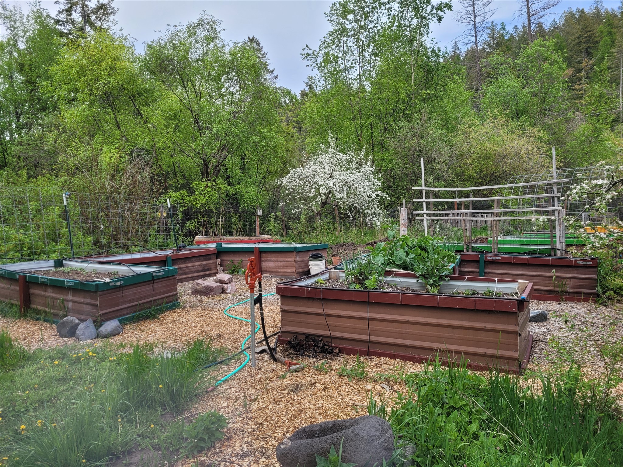 Bigfork, Montana 59911, United States, 3 Bedrooms Bedrooms, ,2 BathroomsBathrooms,Residential,Active,147207