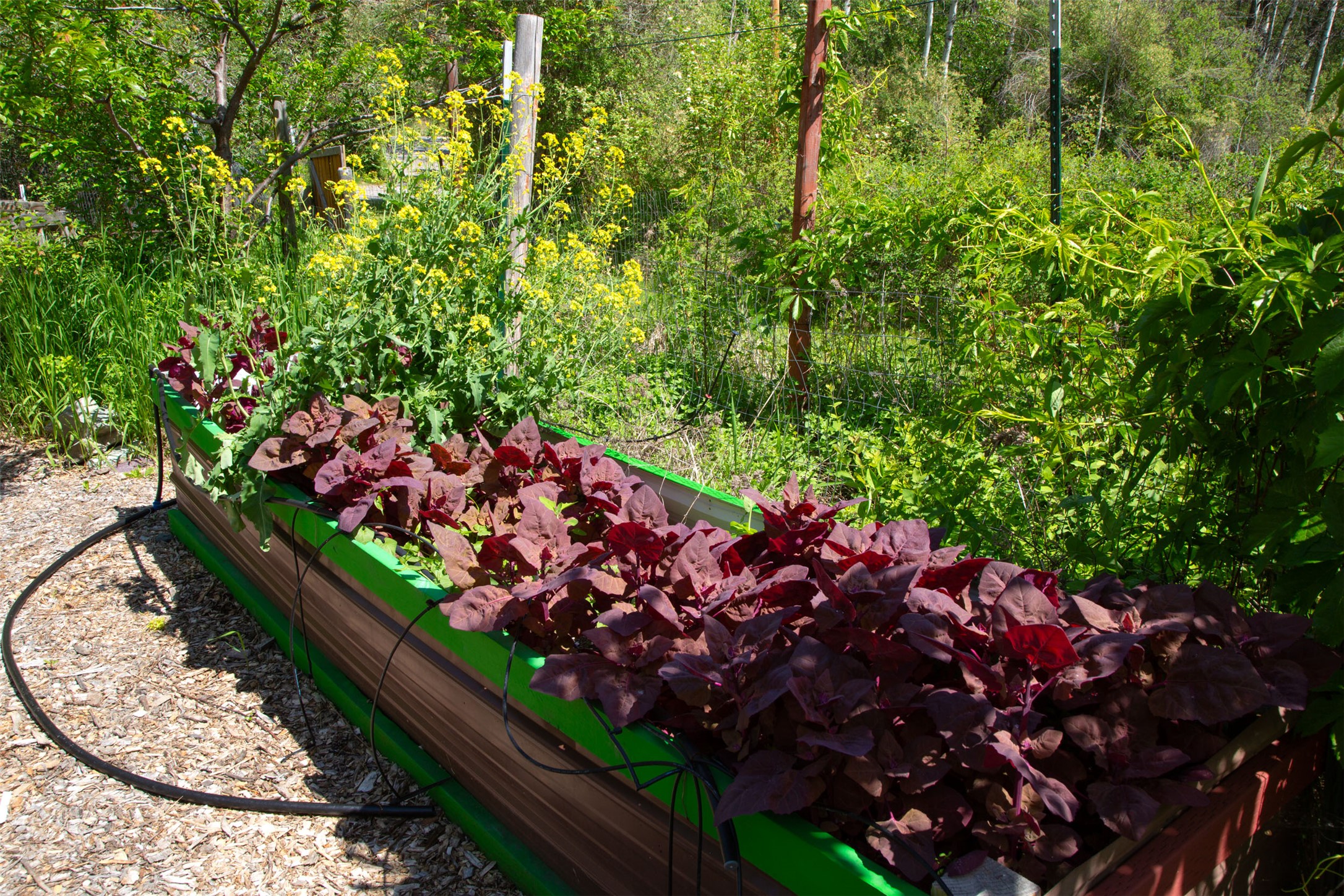 Bigfork, Montana 59911, United States, 3 Bedrooms Bedrooms, ,2 BathroomsBathrooms,Residential,Active,147207