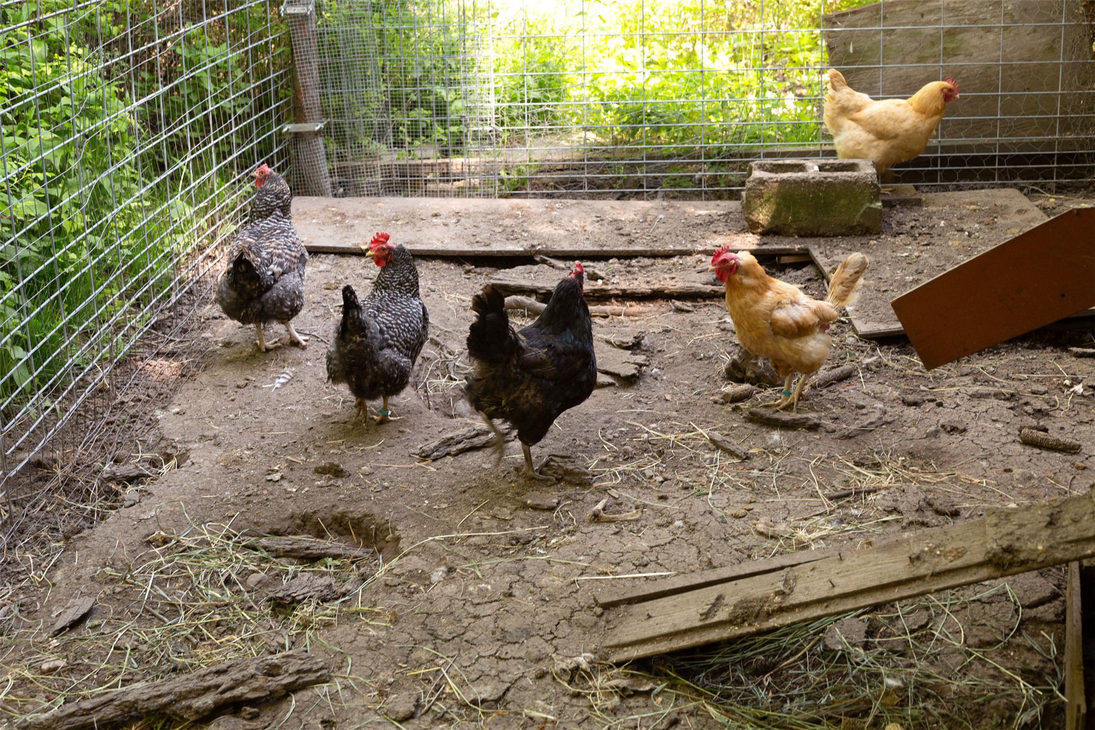 Bigfork, Montana 59911, United States, 3 Bedrooms Bedrooms, ,2 BathroomsBathrooms,Residential,Active,147207