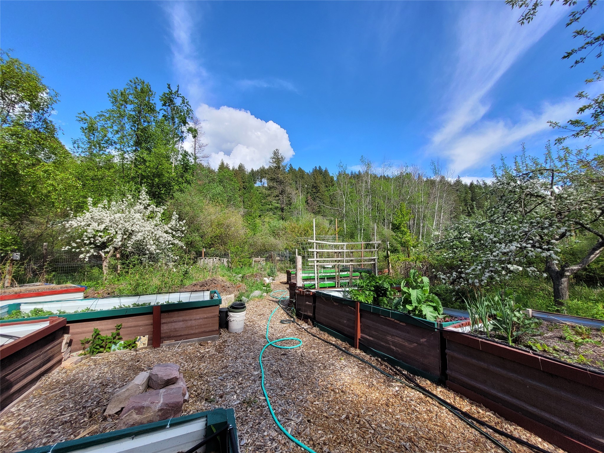 Bigfork, Montana 59911, United States, 3 Bedrooms Bedrooms, ,2 BathroomsBathrooms,Residential,Active,147207