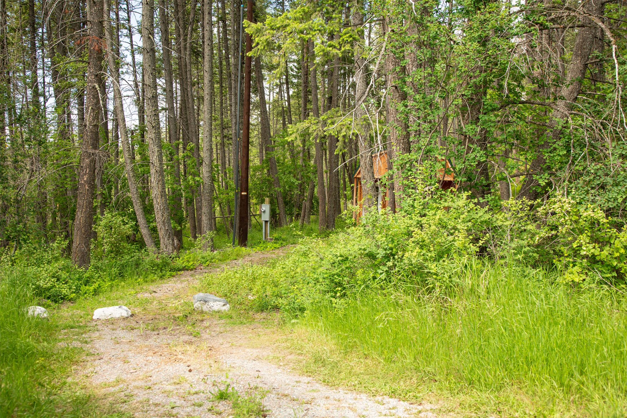 Bigfork, Montana 59911, United States, 3 Bedrooms Bedrooms, ,2 BathroomsBathrooms,Residential,Active,147207