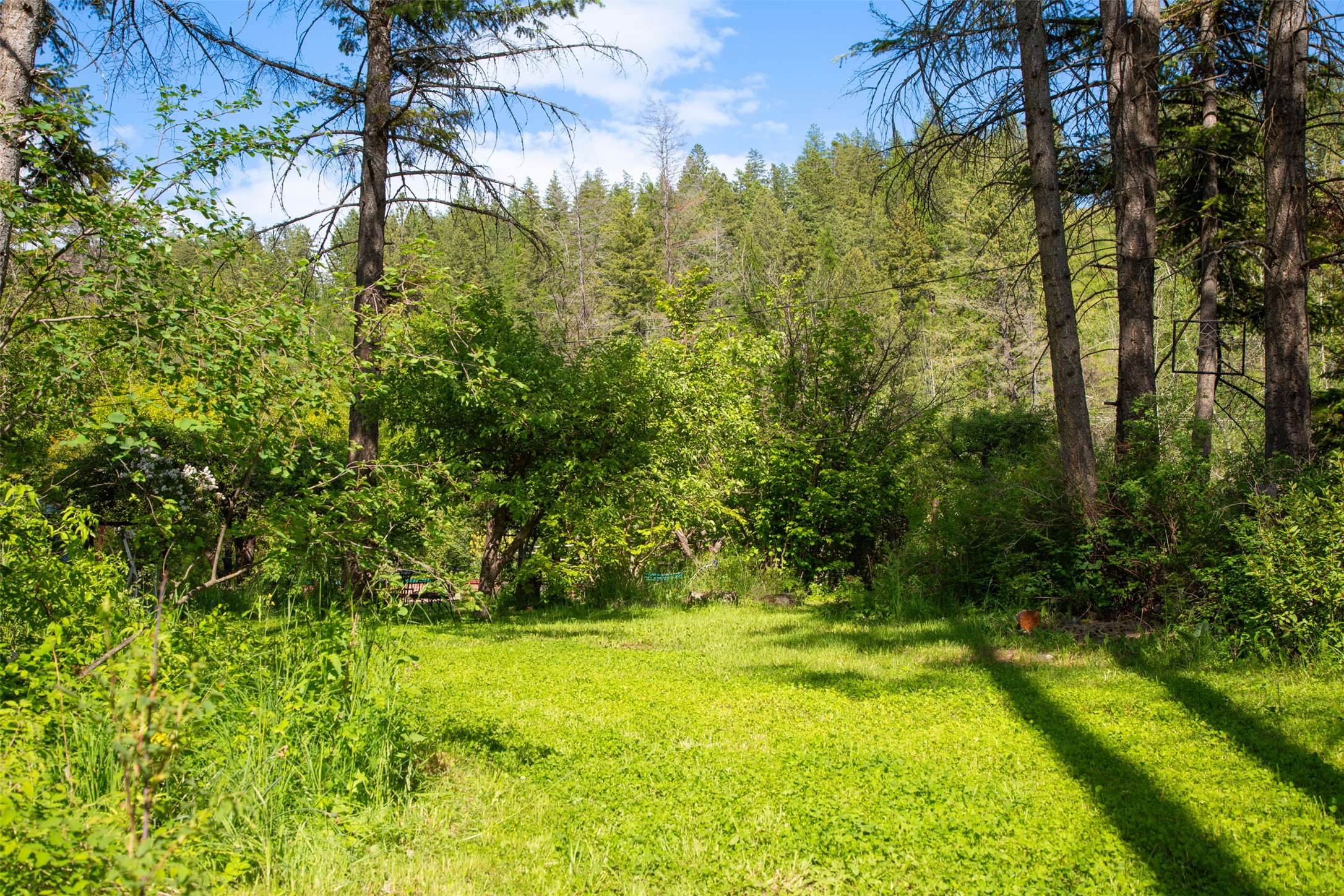 Bigfork, Montana 59911, United States, 3 Bedrooms Bedrooms, ,2 BathroomsBathrooms,Residential,Active,147207