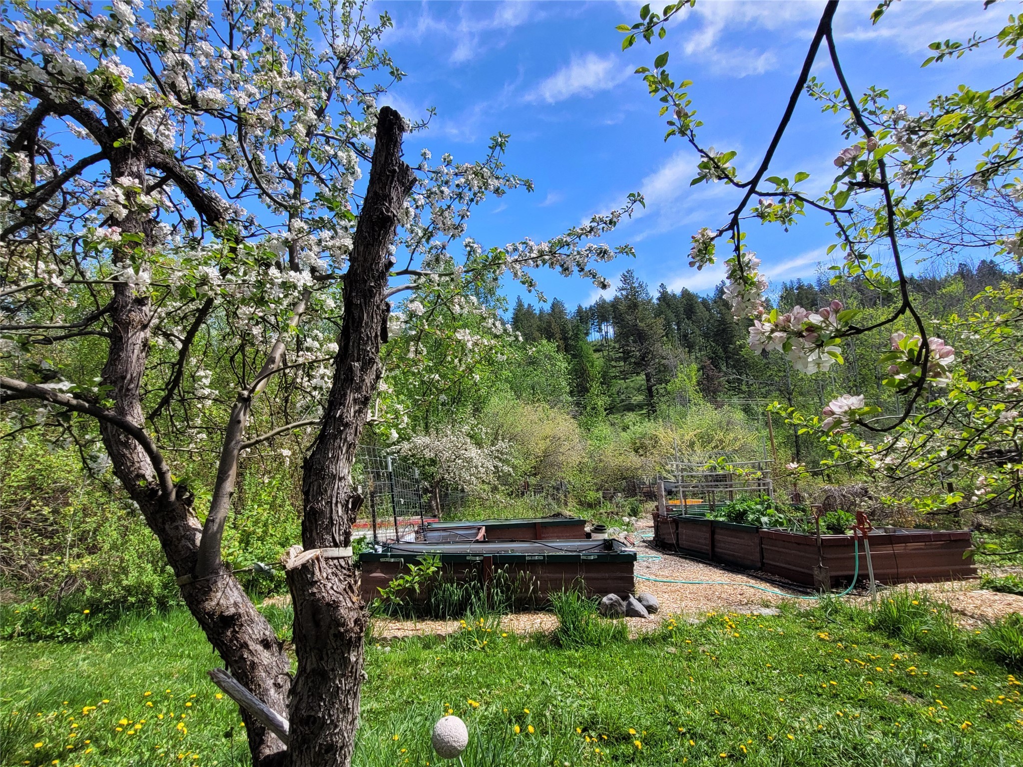 Bigfork, Montana 59911, United States, 3 Bedrooms Bedrooms, ,2 BathroomsBathrooms,Residential,Active,147207