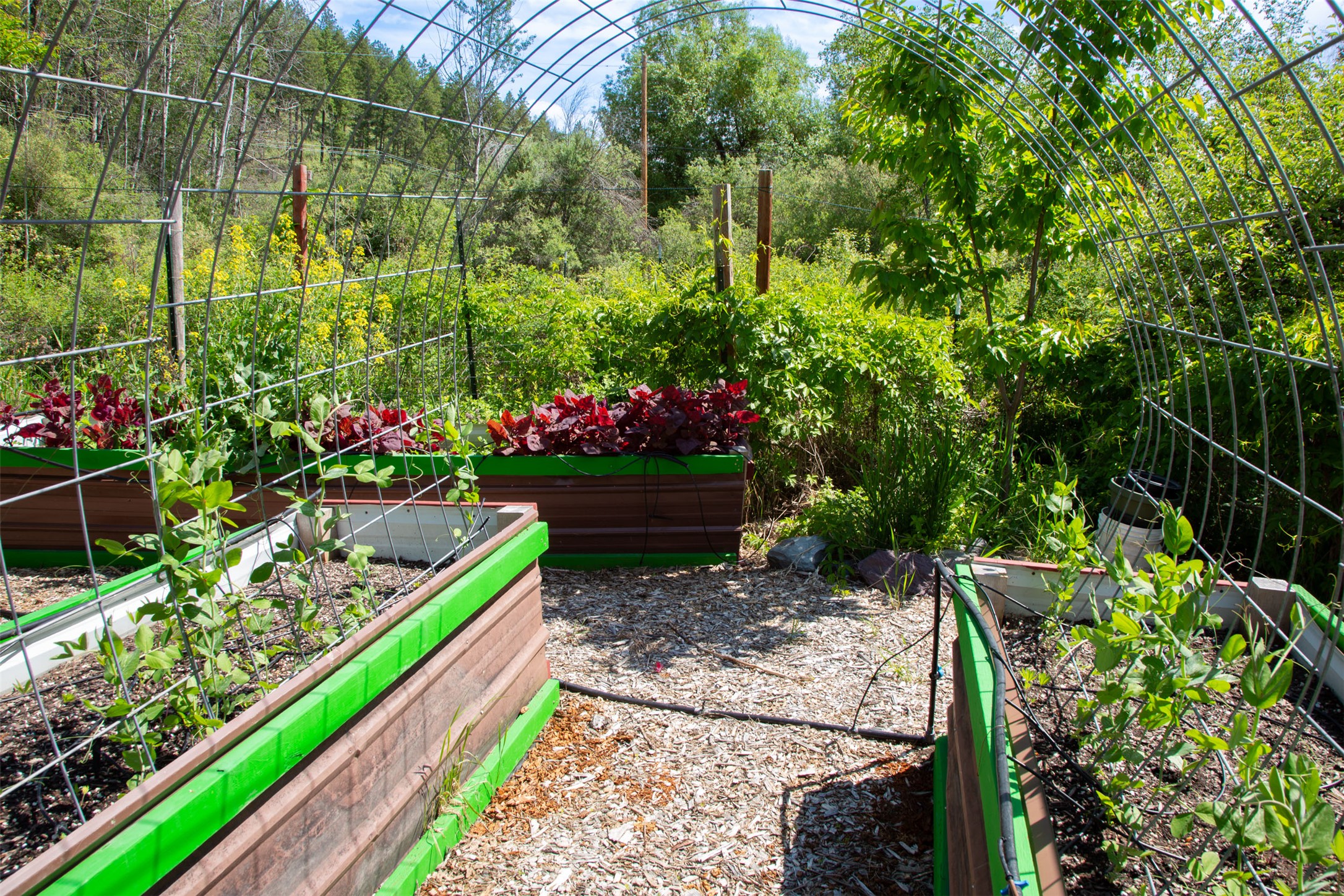 Bigfork, Montana 59911, United States, 3 Bedrooms Bedrooms, ,2 BathroomsBathrooms,Residential,Active,147207