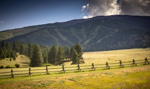 8337 Lamar Trail Lolo MT 59847