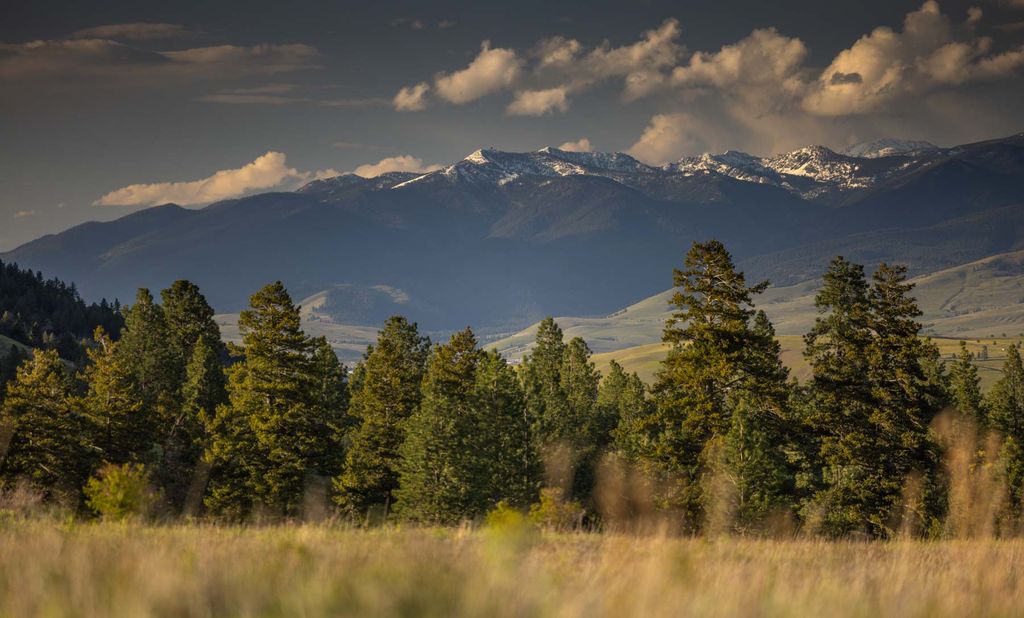 Photo of 8337 Lamar Trail, Lolo, MT 59847 (MLS # 30050213)