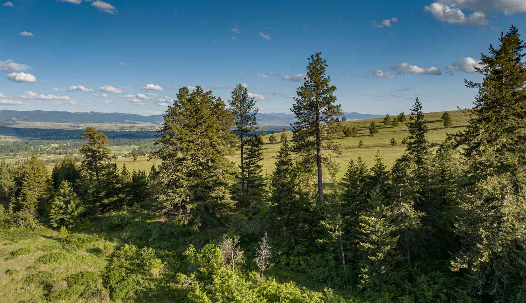 8337 Lamar Trail