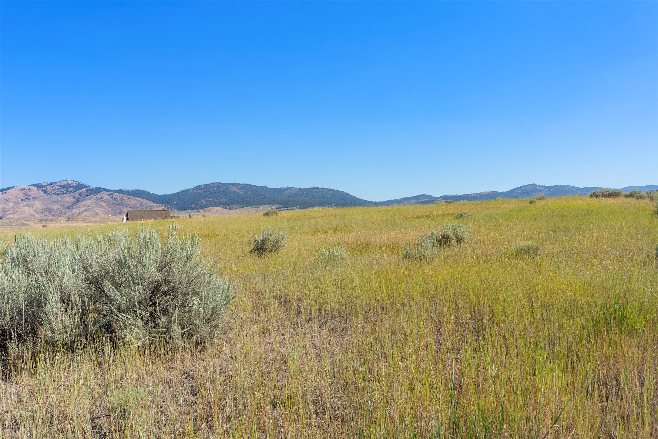 842 Sandhill Loop