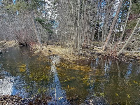 Tiny photo for 3630 Logan Creek Road, Whitefish, MT 59937 (MLS # 30069518)