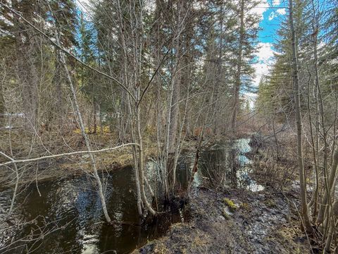 Tiny photo for 3630 Logan Creek Road, Whitefish, MT 59937 (MLS # 30069518)