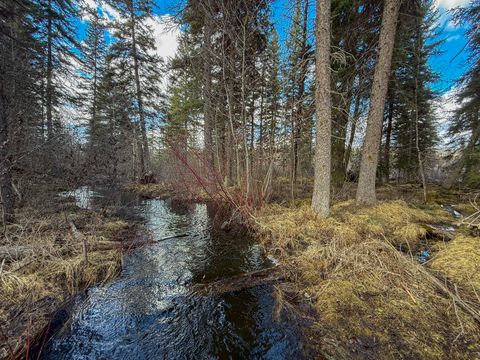 Tiny photo for 3630 Logan Creek Road, Whitefish, MT 59937 (MLS # 30069518)
