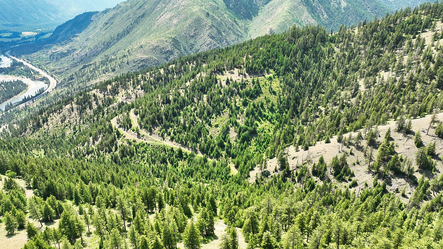 Nhn Switchback Ranch