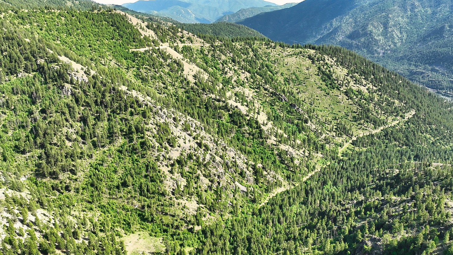 Nhn Switchback Ranch