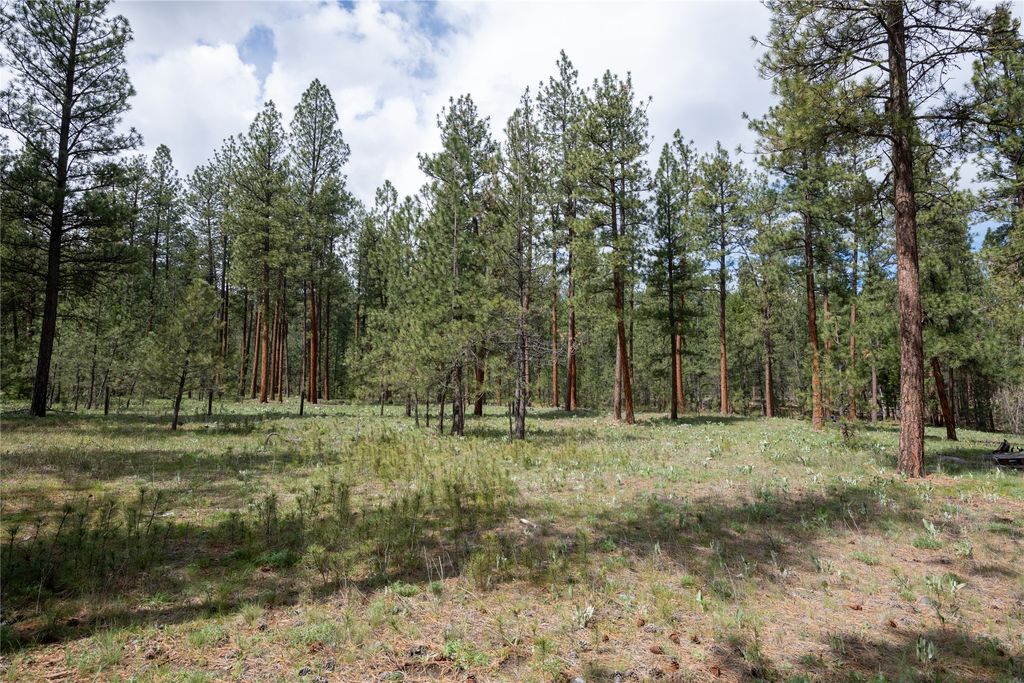 Photo of 5508 Trenk Way, Florence, MT 59833 (MLS # 30069045)
