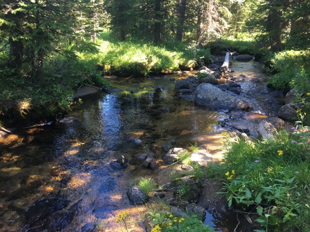 TBD Trapper Creek Road