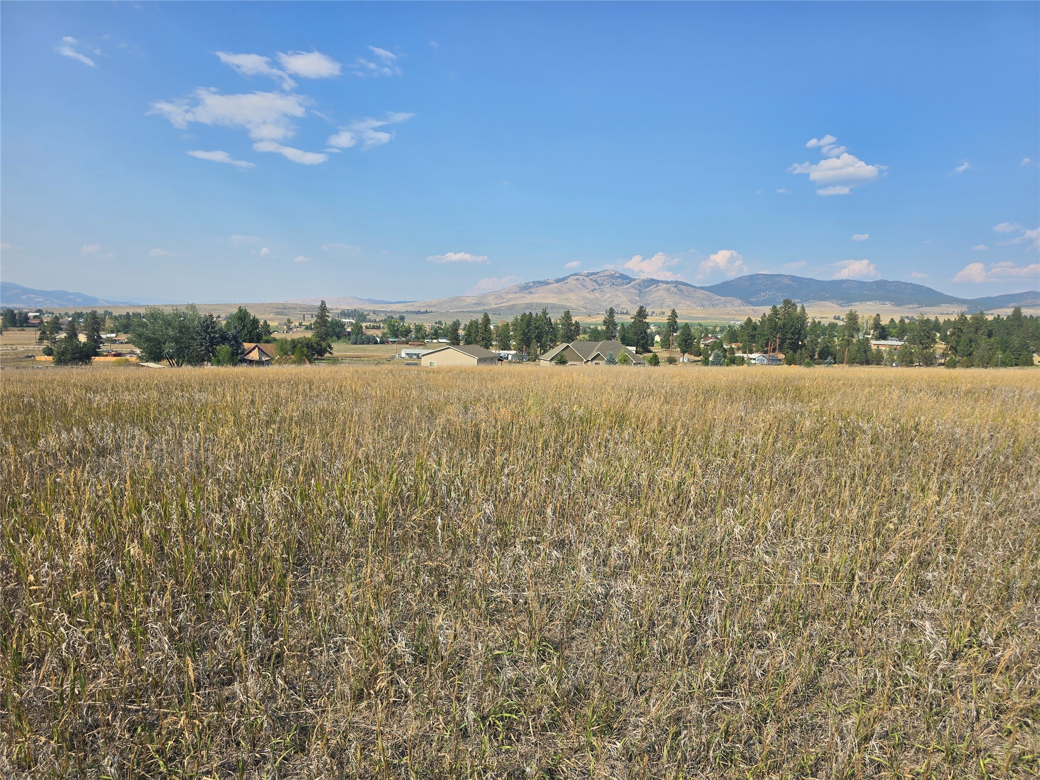 nhn Fescue Slope Road