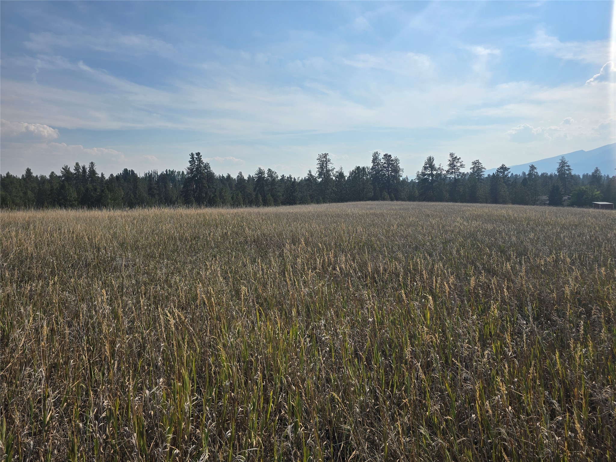 nhn Fescue Slope Road