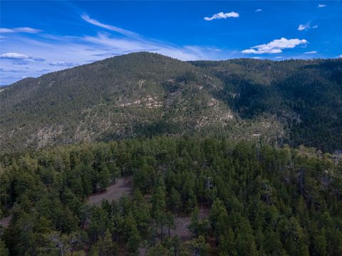 Tiny photo for 1300 Rogers Creek Road, Wolf Creek, MT 59648 (MLS # 30070738)