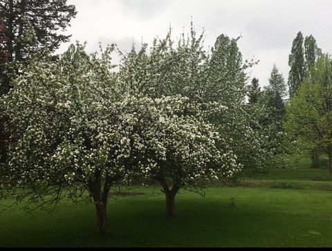 Tiny photo for 212 Lakeshore Drive, Kalispell, MT 59901 (MLS # 30067658)