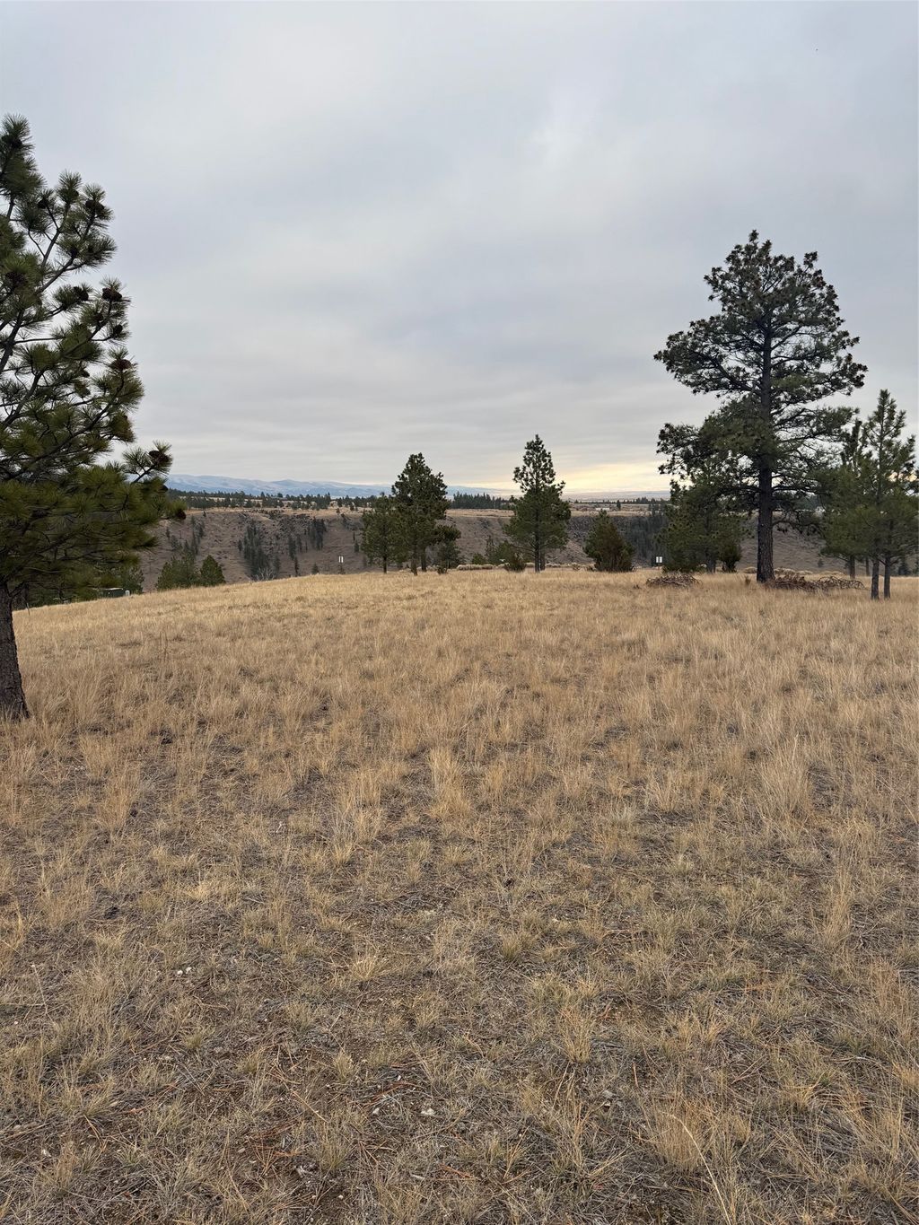 Photo of 8550 Eagle View Road, Helena, MT 59602 (MLS # 30061395)