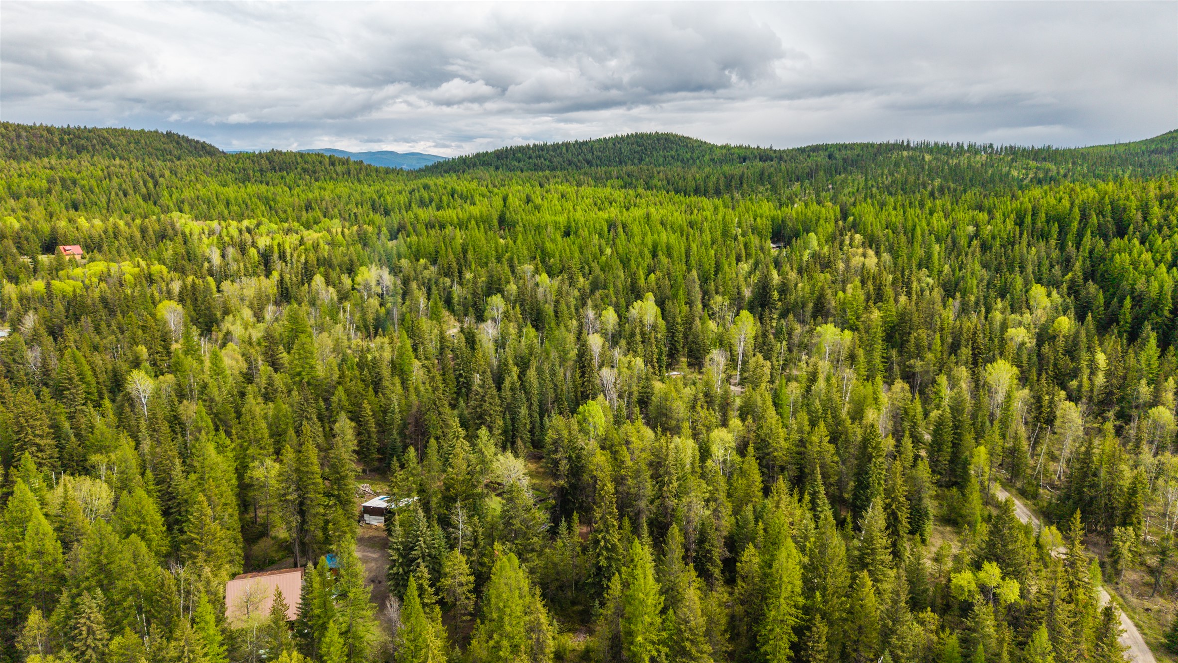 37 Soaring Eagle Trail