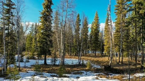 37 Soaring Eagle Trail Fortine MT 59918