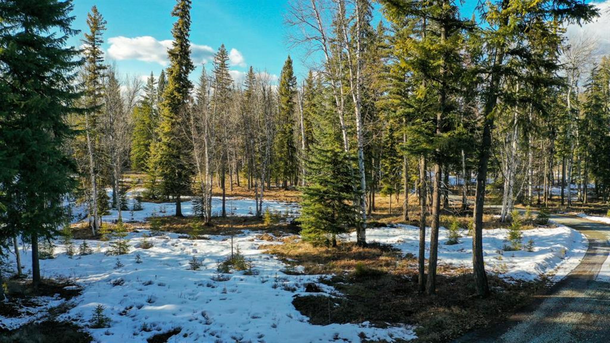 37 Soaring Eagle Trail