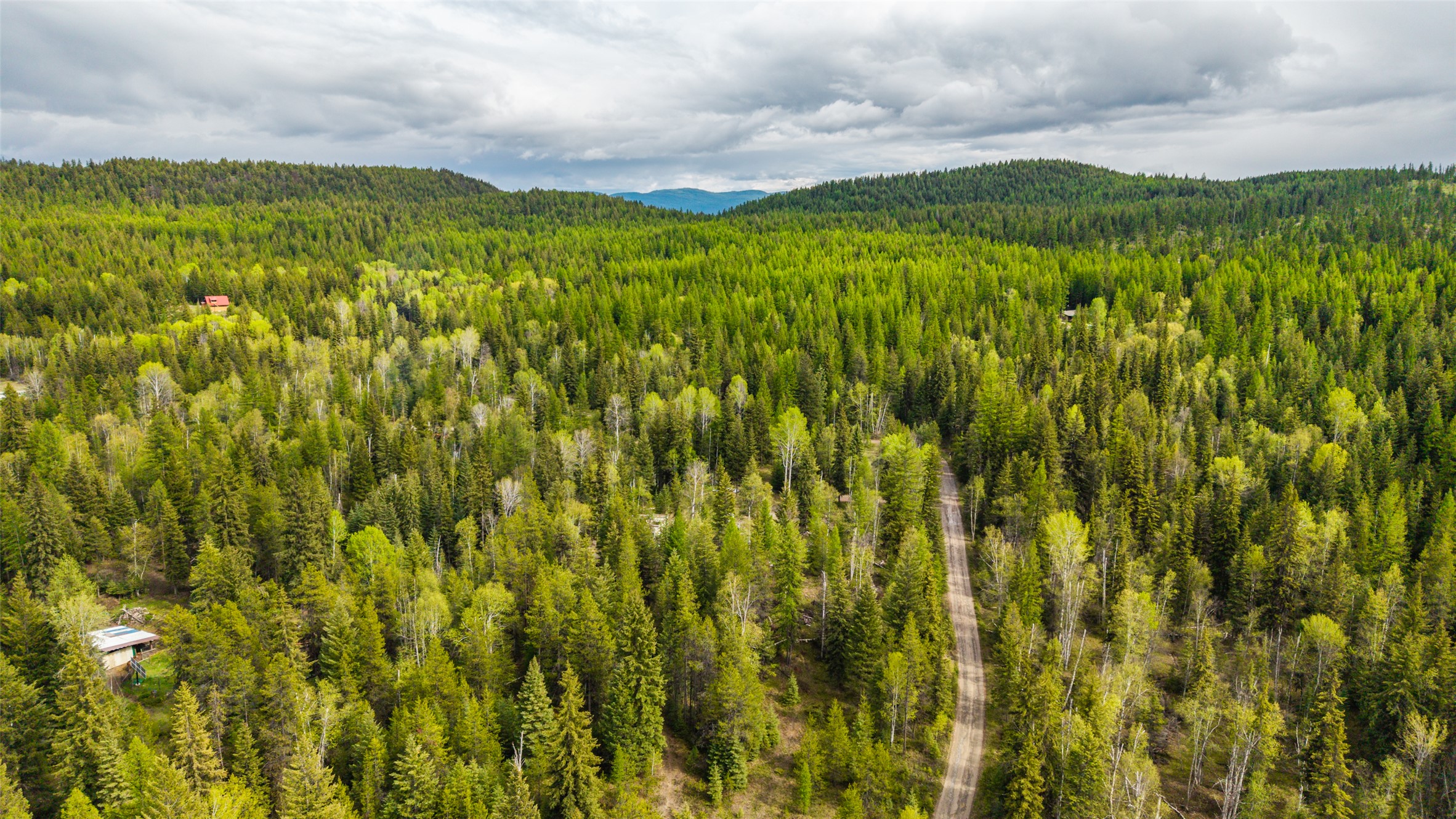 37 Soaring Eagle Trail