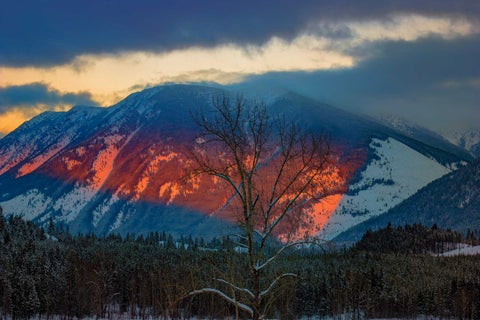 Tiny photo for 300 Desert Lodge Road, West Glacier, MT 59936 (MLS # 30076775)
