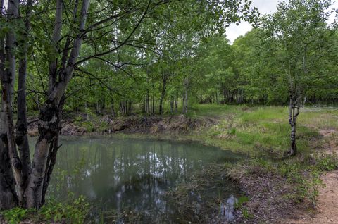 Tiny photo for 959 W Cow Creek Road, Hamilton, MT 59840 (MLS # 30068406)
