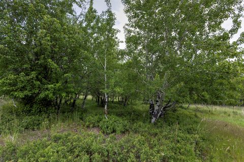 Tiny photo for 959 W Cow Creek Road, Hamilton, MT 59840 (MLS # 30068406)